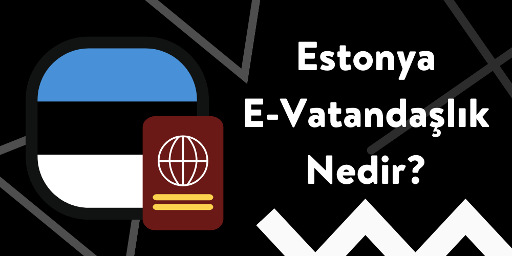 Estonya E Vatandaşlık Nedir